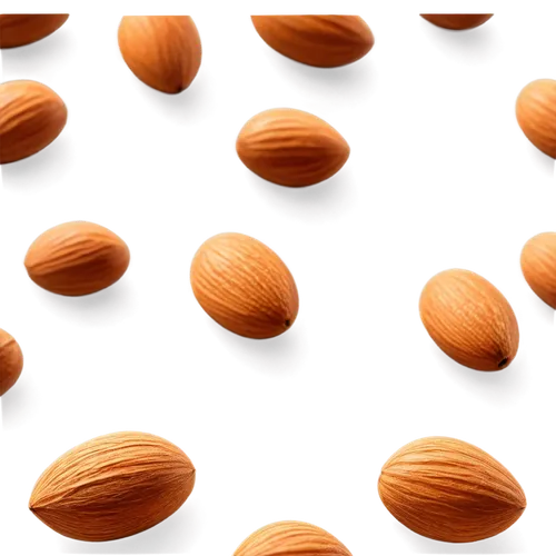 unshelled almonds,almonds,almond nuts,almond,pine nuts,nanorods,hazelnuts,indian almond,cocoa beans,microkernels,betelnut,nutshells,pralines,isolated product image,wafers,pecan,hazelnut,callebaut,nutans,microspheres,Photography,Fashion Photography,Fashion Photography 21