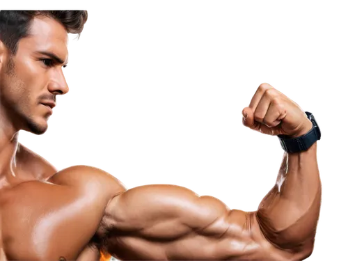 bodybuilding supplement,biceps curl,body building,anabolic,triceps,bodybuilding,muscle angle,muscle icon,muscular,body-building,bodybuilder,buy crazy bulk,edge muscle,muscles,muscle man,muscular build,fitness and figure competition,dumbell,muscled,arms,Photography,General,Fantasy