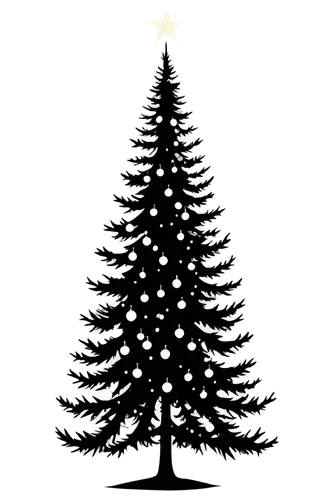 kerschbaum,fir tree silhouette,tannenbaum,gruenbaum,bierenbaum,the christmas tree,bichlbaum,christmas tree,nordmann fir,kleinbaum,christbaumkugeln,oranienbaum,christmas pine,christmas star,christmas motif,christmas tree pattern,seasonal tree,christmas light,christmas tree with lights,tanenbaum,Conceptual Art,Daily,Daily 04