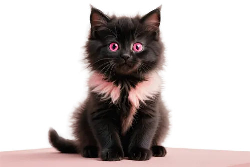 ravenpaw,melanism,pink cat,pyewacket,pet black,black cat,halloween black cat,purgatoire,salem,melanistic,cat vector,the pink panter,blackie,kittenish,bagheera,jiji the cat,doll cat,dark pink,red eyes,cartoon cat,Art,Artistic Painting,Artistic Painting 44