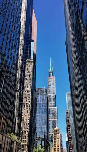 Chicago architecture tour, design lover, daytime, sunny, clear blue sky, Willis Tower, reflective glass and steel material, modern skyscraper, bustling city streets, pedestrians walking, tourist takin