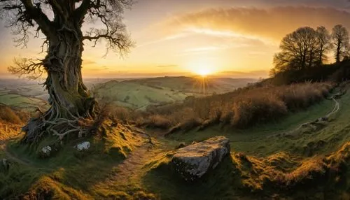 hobbiton,landscape background,panoramic landscape,meadow landscape,derbyshire,landscape photography,rural landscape,nature landscape,stone circle,peak district,fantasy landscape,view panorama landscape,brecon beacons,landscapes beautiful,natural landscape,landscape nature,landscapes,home landscape,exmoor,stone circles