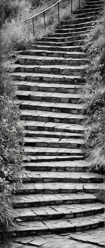 winners stairs,gordon's steps,winding steps,steps,icon steps,stairway to heaven,steps carved in the rock,wooden stairs,stairs,wooden track,stone stairway,stairway,ksvsm black and white images,steel stairs,climb up,foot steps,old tracks,step by step,stone stairs,jacob's ladder,Conceptual Art,Oil color,Oil Color 10