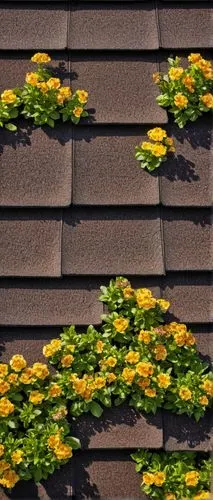 roof tiles,tiled roof,roof landscape,house roofs,roof tile,shingled,house roof,roof plate,roofing,roofline,rooflines,rain gutter,slate roof,roofs,roof panels,gutters,the old roof,downspouts,roofer,roofing work,Conceptual Art,Fantasy,Fantasy 16