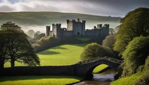 Newcastle Emlyn Castle, medieval architectural style, stone walls, tall towers, grand halls, stained glass windows, intricate carvings, majestic entrance gates, rolling green hills, misty morning atmo