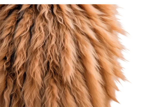 bergamasco,afghan hound,briard,mop,wheaten,crimped,lionhead,pelo,barbet,foxtail,labradoodle,sackcloth textured background,furring,snuffleupagus,unmop,ostrich feather,sackcloth textured,lion head,lion,fringing,Photography,Documentary Photography,Documentary Photography 13