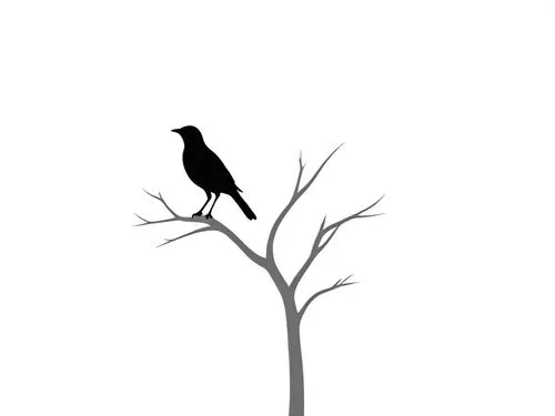 bird on branch,crow in silhouette,bird on tree,bird on the tree,crows bird,bird in tree,Design Sketch,Design Sketch,Rough Outline