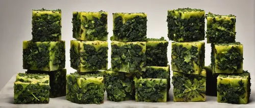 food-cubes-raw-lernert-sander-volkskrant-2,rapini,algae,wasabi,kangkong,kale,block of grass,aaa,wall,chinese celery,brassica,shrub celery,otak-otak,zucchini,green asparagus,patrol,sushi art,okra,paan,