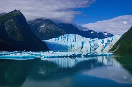 Glacier Bay National Park and Preserve in Alaska is one of the country's largest. The majority of the country's largest parks are located in Alaska.,glacier bay,gorner glacier,glacial melt,glacial lan