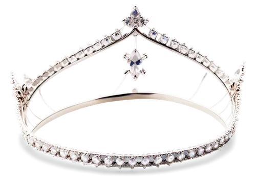 diadem,princess crown,swedish crown,royal crown,the czech crown,diademhäher,couronne-brie,imperial crown,tiara,queen crown,spring crown,crown render,bridal accessory,heart with crown,crown,bridal jewelry,summer crown,crowned,crowns,unicorn crown,Conceptual Art,Daily,Daily 03