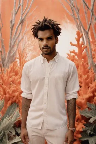 bti,tree loc sesame,biophilia,miseducation,akala,ginuwine,tropico,stereogum,jermaine,krit,bino,planet mars,abel,chapelle,farmer in the woods,afrotropic,earl,cuckoo,nasir,forest man,Photography,Analog