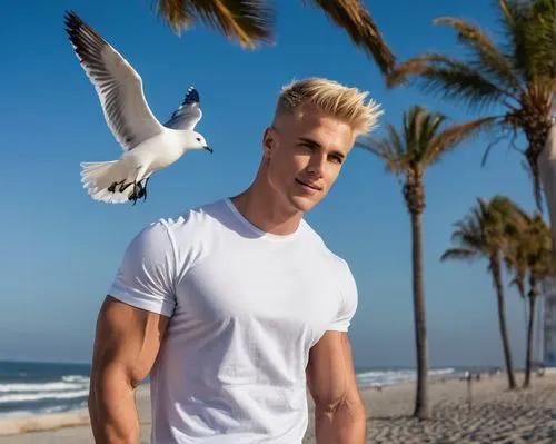 seagulls,maspalomas,beach background,seagulls birds,seagulls flock,seagle,sea gulls,seagull,gynecomastia,polaco,gwe,silver seagull,cody,kittel,coastal bird,haegglund,larus,egretta,gaviota,gulls,Illustration,Realistic Fantasy,Realistic Fantasy 46