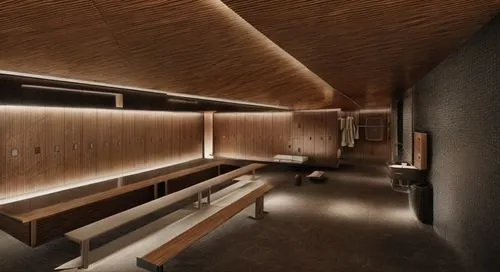 Locker room, high school,3d rendering,under-cabinet lighting,concrete ceiling,capsule hotel,ceiling lighting,render,nightclub,arq,corten steel,archidaily,interior modern design,ufo interior,piano bar,