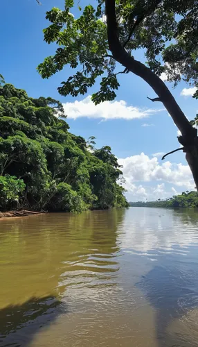 paraguayian guarani,river nile,guanabá real,the vishera river,mekong river,iguassu,mekong,aura river,northeast brazil,vatapá,conguillío national park,cabaneros national park,nile river,river landscape,roraima,lagoa rodrigo de freitas,mato grosso,tropical chichewa,a river,river of life project,Photography,General,Realistic