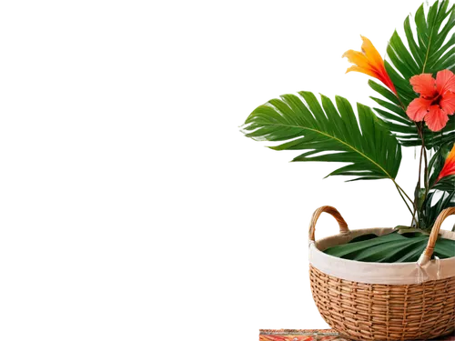 tropical floral background,flowers png,wooden flower pot,basket with flowers,floral mockup,flower pot holder,flower basket,flowers in basket,terracotta flower pot,flower arrangement lying,potted palm,tropical flowers,ikebana,ornamental plants,flower background,flower arrangement,exotic plants,paper flower background,potted plant,flowerpot,Art,Artistic Painting,Artistic Painting 31