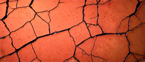 epidermis,alveoli,epidermal,keratoderma,vasculature,wall texture,arterioles,red earth,terracotta tiles,angiogenesis,venules,perivascular,capillaries,arteriovenous,striae,fissures,vein,brick background,papules,tegula,Conceptual Art,Sci-Fi,Sci-Fi 28