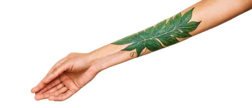 huana,palm leaf,palm of the hand,palm leaves,tropical leaf,palmitic,fern leaf,hand digital painting,custody leaf,moraceae,healing hands,tree leaf,palm in palm,jungle leaf,palm reading,pokok,green leaf,mape leaf,rose leaf,palmtops,Illustration,Abstract Fantasy,Abstract Fantasy 17