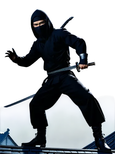 cartoon ninja,ninjas,kenjutsu,eskrima,ninja,shaolin kung fu,japanese martial arts,fencing weapon,baguazhang,ninjutsu,shinobi,martial arts uniform,cleanup,assassin,kendo,kungfu,balaclava,sōjutsu,martial arts,jeet kune do,Art,Classical Oil Painting,Classical Oil Painting 39