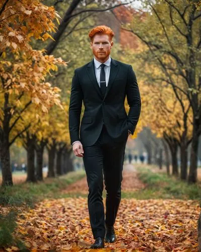 gingrichian,ginger rodgers,sheamus,ranga,zebrowski,sheeran,Photography,General,Cinematic