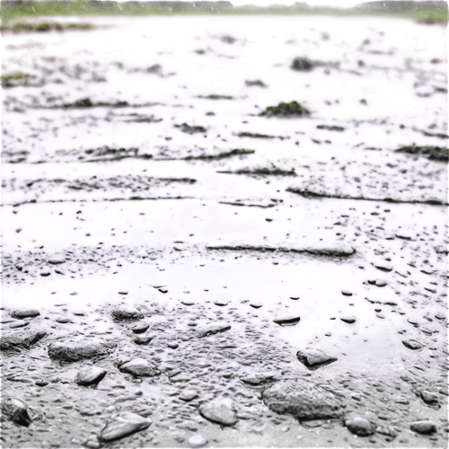 rain field,rained,drop of rain,rain drops,rain,raindrop,rains,rainstorm,rainfall,raindrops,heavy rain,drops,after rain,waterlogging,precipitations,rainwater drops,raining,raindops,rain droplets,hailstorm,Conceptual Art,Oil color,Oil Color 17