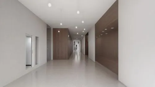 hallway space,hallway,corridor,3d rendering,walk-in closet,daylighting,white room,render,surgery room,modern minimalist bathroom,ceiling lighting,wall lamp,modern room,treatment room,wall light,room lighting,under-cabinet lighting,ceiling light,track lighting,3d render,Commercial Space,Working Space,None