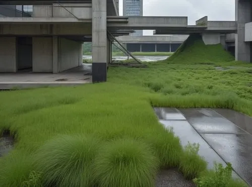 edificio, vigas y diagonales de acero, entre topografia verde, vegetación xerófila, con pavimento roto donde crece vegatacion, humedales, lluvioso,green plants growing in the ground outside a large bu