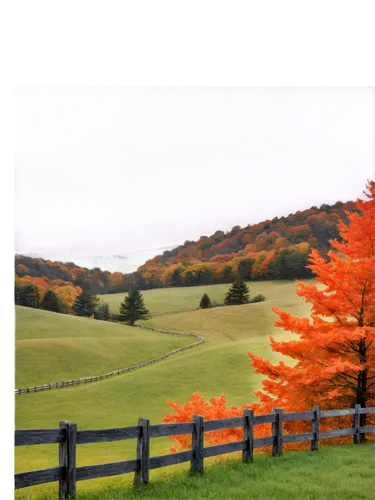 fall landscape,pasture fence,autumn frame,fall picture frame,autumn background,fruitlands,fall foliage,autumn landscape,vermont,autumn scenery,round autumn frame,orangefield,berkshires,colors of autumn,delaplane,landscape background,maple tree,vermontville,white picket fence,fence posts,Photography,Fashion Photography,Fashion Photography 20