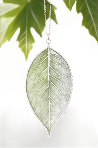 ginkgo leaf,tree leaf,chestnut leaf,walnut leaf,suspended leaf,fig leaf,acorn leaf,beech leaf,grape leaf,coconut leaf,tropical leaf,tropical leaf pattern,fan leaf,glitter leaf,fern leaf,lotus leaf,mape leaf,jungle leaf,leaf fern,leaf branch,Photography,Fashion Photography,Fashion Photography 02