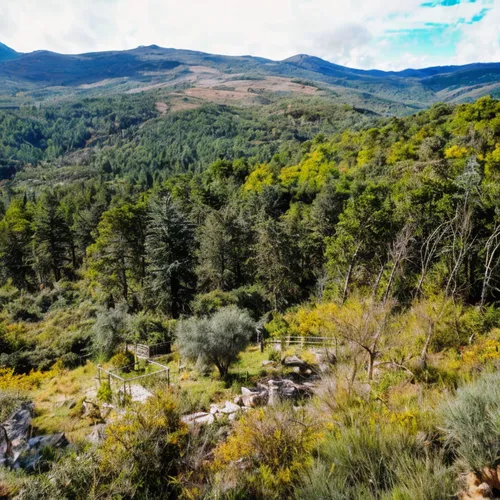 region de la araucania,eastern pyrenees,panorama of the landscape,blauara,serra de tramuntana,view panorama landscape,riparian forest,bieszczady,oheo gulch,the chubu sangaku national park,the landscape of the mountains,mountainous landscape,panoramic landscape,conguillío national park,lycian way,blue ridge mountains,slowinski national park,riparian zone,braque d'auvergne,natural reserve