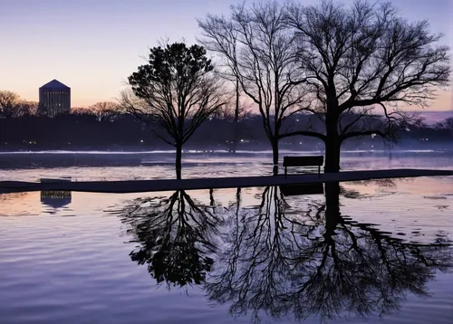 tidal basin,reflecting pool,druid hill park,potomac river,jefferson memorial,lake park,peasholm park,evening lake,thomas jefferson memorial,floating over lake,park lake,west lake,reflections in water,lake view,lake shore,lake monroe,centennial park,reflection in water,boathouse,lake rose,Illustration,American Style,American Style 15