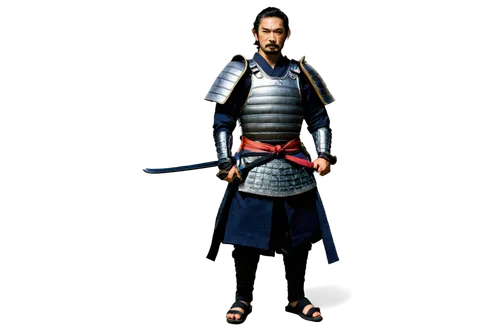 yi sun sin,shuanghuan noble,samurai,sanshin,samurai fighter,wuchang,xing yi quan,goki,martial arts uniform,kenjutsu,takuan,swordsman,male character,jeongol,hwachae,shinobi,shimada,samurai sword,tai qi,okinawan kobudō,Illustration,American Style,American Style 03