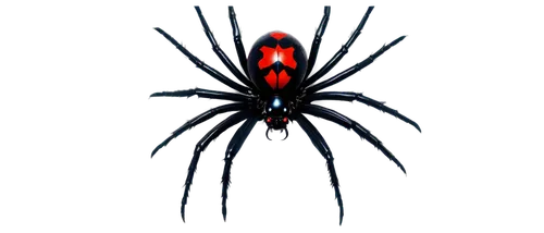 red spider nebula,diadem spider,spider,tarantula,arachnid,symbiote,walking spider,webcrawler,edged hunting spider,acindar,spinneret,giant spider,anansi,spiderwick,arachne,baboon spider,arachnoid,spyder,arachnida,spider flower,Conceptual Art,Daily,Daily 15