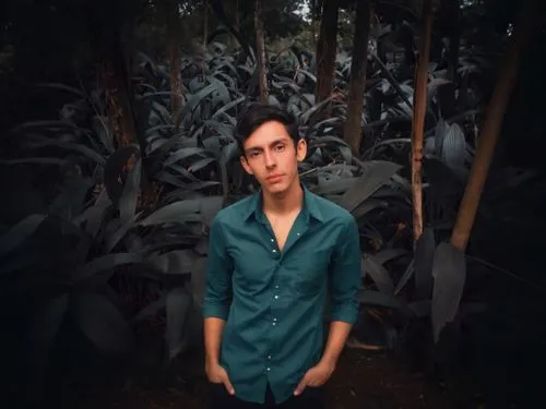 portrait background,farmer in the woods,agave,agave azul,jungle,photo shoot with edit,forest background,forests,vegetation,social,forest man,cornfield,edit icon,forest floor,the forests,bushes,backgro