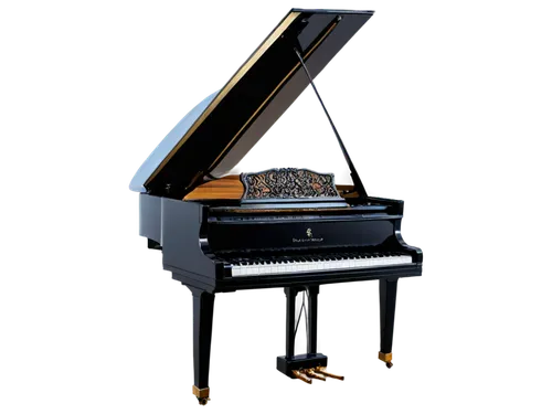 grand piano,steinway,steinways,bosendorfer,play piano,boesendorfer,the piano,derivable,carpianum,piano keyboard,piano,pianoforte,bechstein,3d model,clavinet,fortepiano,3d render,pianola,disklavier,pianist,Photography,Documentary Photography,Documentary Photography 24