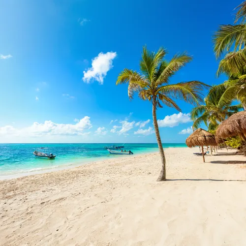 caribbean beach,dominican republic,caribbean,the caribbean,tropical beach,antilles,dream beach,caribbean sea,punta-cana,barbados,beach landscape,mauritius,travel insurance,white sand beach,cook islands,beautiful beaches,cuba beach,punta cana,white sandy beach,paradise beach