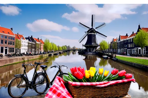 netherland,hollanda,netherlands,edam,the netherlands,holand,holanda,hollandse,hollandale,holland,dutch,tulip background,north holland,hollandica,nederlandse,dutch landscape,hollandi,culemborg,spui,amsterdams,Illustration,Paper based,Paper Based 04