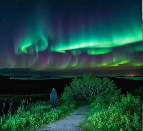 Aurora Borealis outside my front door,a woman looks out over the aurora above a tree on a hill,northen lights,auroras,norther lights,green aurora,nothern lights,northen light,Photography,General,Reali