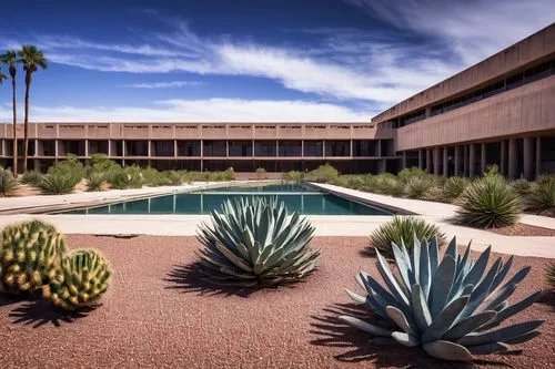 xeriscaping,gammage,desert plants,desert plant,gcu,packinghouse,midcentury,utpa,agaves,courtyards,cactuses,phototherapeutics,greenspun,asu,llnl,mid century modern,hohokam,tempe,corona test center,hillenbrand,Art,Classical Oil Painting,Classical Oil Painting 31