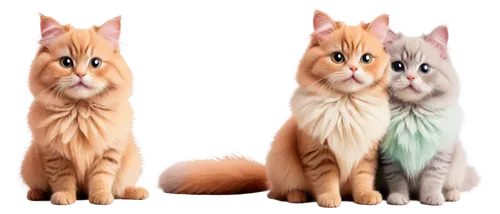 british longhair cat,two cats,ginger cat,cats angora,red tabby,cat vector,maincoon,kurilian bobtail,american bobtail,ginger family,british longhair,british semi-longhair,cat image,domestic long-haired cat,breed cat,pet vitamins & supplements,vintage cats,the cat and the,cartoon cat,turkish van,Illustration,Vector,Vector 11