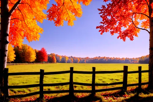 autumn background,autumn frame,fall landscape,autumn landscape,landscape background,autumn scenery,round autumn frame,pasture fence,nature background,autumn idyll,autumn day,background view nature,one autumn afternoon,meadow landscape,autumn morning,wooden fence,just autumn,fall picture frame,autumn sun,autumn sunshine,Photography,Documentary Photography,Documentary Photography 28