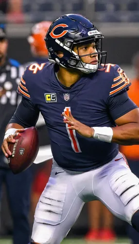 the bears,cobb,bears,quarterback,nada3,passer,hue,nada2,el capitan,stafford mongrel,cam,left hand bear,chi,bear bow,buffalo,kahn,nfl,teddy,running back,sale,Photography,Documentary Photography,Documentary Photography 09