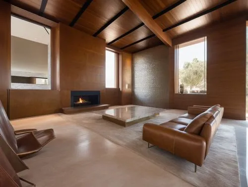 mahdavi,minotti,mid century modern,interior modern design,corten steel,modern living room,Photography,General,Realistic