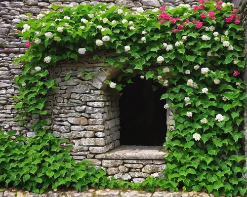 Write a peaceful scene with flowering vines covering an ancient stone wall.,flowering vines,rose arch,ivy frame,flower wall en,cottage garden,rose wreath,garden door,stone wall,wreath of flowers,bloom