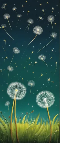 Craft a romantic story of dandelion seeds floating in a meadow.,flying dandelions,dandelion background,fireflies,dandelion seeds,dandelions,dandelion flying,dandelion field,dandelion meadow,taraxacum,