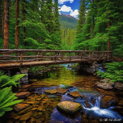 wooden bridge,log bridge,mountain stream,humpback bridge,scenic bridge,nature landscape,fairytale forest,hanging bridge,forest landscape,germany forest,landscape nature,spruce forest,flowing creek,british columbia,hangman's bridge,beautiful landscape,slowinski national park,natural landscape,carpathians,mountain river,Conceptual Art,Daily,Daily 28