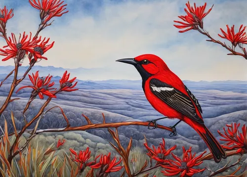 scarlet honeyeater,scarlet tanager,bird painting,crimson finch,tanager,rosella,red cardinal,sunbird,flower and bird illustration,red pompadour cotinga,cardinal,humming-bird,spring bird,old world oriole,grosbeak,red finch,songbird,carol colman,passerine bird,white-winged widowbird,Illustration,Abstract Fantasy,Abstract Fantasy 14