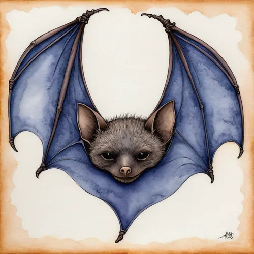 little red flying fox,tropical bat,fruit bat,vampire bat,mouse eared bat,flying fox,hanging bat,little brown myotis,big brown bat,bat,aye-aye,megabat,pipistrelles,bat smiley,bats,mouse lemur,greater crimson glider,ring-tailed,common pipistrelle,gargoyle,Illustration,Paper based,Paper Based 28