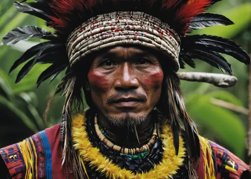 papuan,tribal chief,pachamama,shamanism,guatemalan quetzal,shaman,aborigine,nomadic people,shamanic,native american,headdress,borneo,marvel of peru,indian headdress,war bonnet,american indian,indigenous culture,red chief,indigenous,the american indian,Illustration,Realistic Fantasy,Realistic Fantasy 15