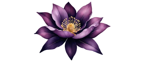 crown chakra flower,lotus png,lotus art drawing,flowers png,lotus ffflower,flower illustration,purple flower,lotus with hands,tulipan violet,violet tulip,lotus flower,purple crocus,passionflower,flower illustrative,saffron crocus,purple passionflower,purple passion flower,lotus tattoo,lotus,purple parrot tulip,Unique,Paper Cuts,Paper Cuts 01