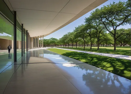 daylighting,tree lined path,walkway,reflecting pool,tree-lined avenue,tree lined,tree lined lane,californian white oak,green space,paved square,aileron,quail grass,corten steel,exposed concrete,school design,glass facade,concrete slabs,archidaily,courtyard,siberian elm,Conceptual Art,Daily,Daily 32